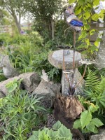 f. Kingfisher and cups.jpg